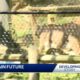 Jackson Zoo future in question