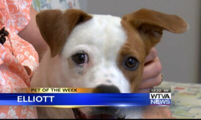 Pet of the Week - Elliott