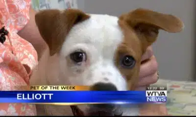 Pet of the Week - Elliott