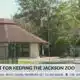 Jacksonians voice opposition to potential zoo closure