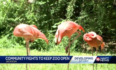 Community fights to keep zoo open
