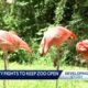 Community fights to keep zoo open