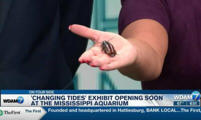 WATCH: Mississippi Aquarium special guest promotes 'Changing Tides' exhibit
