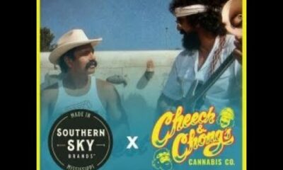Cheech Marin talks Cheech & Chong Cannabis Company partnership with Southern Sky Brands