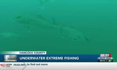 Coast Life: Underwater Extreme Fishing