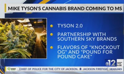 Mike Tyson’s cannabis brand coming to Mississippi