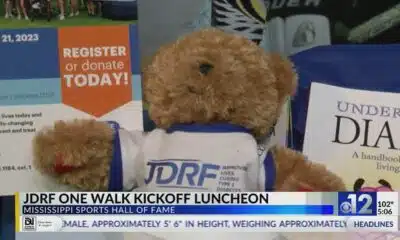 JDRF holds luncheon ahead of One Walk event