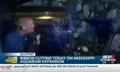 LIVE: Ribbon cutting set for Thursday at new aquarium exhibits