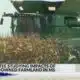 Foreign Purchase of Farmland Study Committee holds first meeting