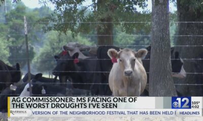Commissioner Gipson on drought in Mississippi
