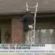 Mississippi roofer works to stay safe amid extreme heat