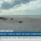 IMMS is watching another turtle nest in Pass Christian