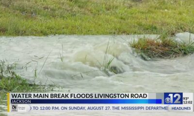 Water main break on Livingston Road in Jackson