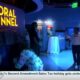 Mississippi Aquarium opening new indoor exhibit 'Changing Tides'
