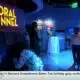 Mississippi Aquarium opening new indoor exhibit 'Changing Tides'