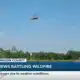 LIVE: Crews battling wildfire in Harrison County