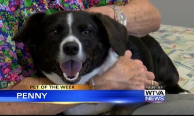 Pet of the Week - Penny