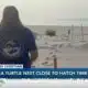 Sea turtle nest in Pass Christian close to hatching time