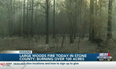UPDATE: Firefighters working to put out woods fire in Stone County
