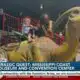 Thousands attend Jurassic Quest Exhibit at Mississippi Coast Coliseum and Convention Center