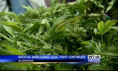 Availability of medical marijuana remains on hold in Alabama