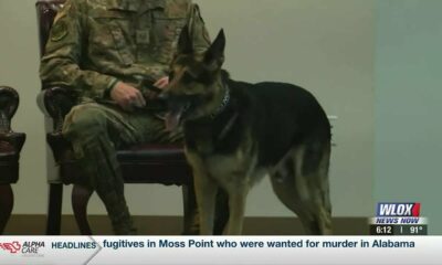 Retirement ceremony held for military working dog at Keesler