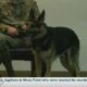 Retirement ceremony held for military working dog at Keesler