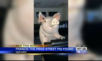Oxford police: the Price Street Pig found after going missing