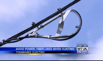Dove hunters reminded to avoid shooting power lines