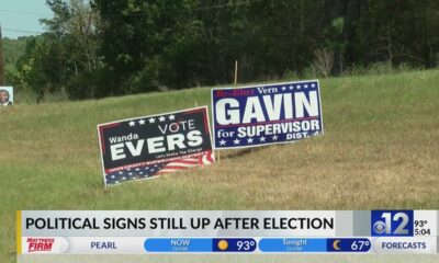 What are MDOT’s guidelines for political signs?