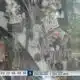 Hurricane Katrina Memorial in Biloxi vandalized