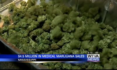 Medical marijuana sales are up in Mississippi