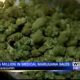 Medical marijuana sales are up in Mississippi