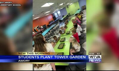 West Amory Elementary School is in their second phase of their tower garden.