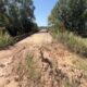 Focused on Mississippi: Seneasha Creek bridge