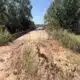 Focused on Mississippi: Seneasha Creek bridge