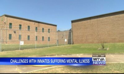How do jail officials help inmates suffering from mental illness?