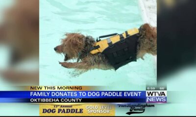Family donates to Dog Paddle event