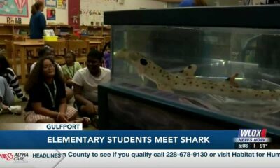 Students at 28th Elementary meet rare ‘walking shark’