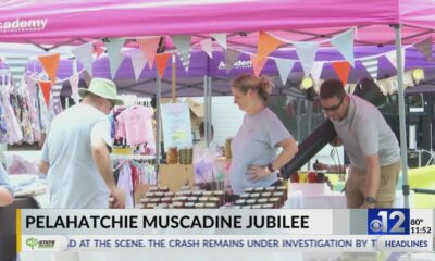 Pelahatchie hosts Muscadine Jubilee