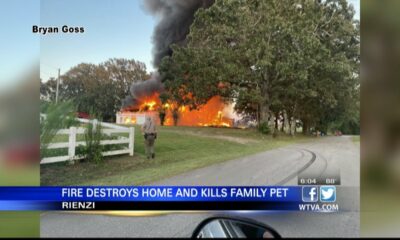 Family pet killed in Alcorn County house fire