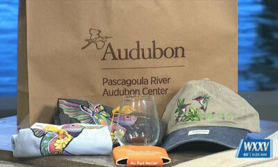 Hummingbird Festival at the Pascagoula River Audubon Center