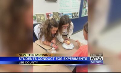 Guntown Middle School students conduct egg experiments