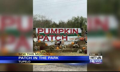 Tupelo Buffalo Park and Zoo preparing for Patch in the Park