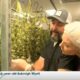 In Their Shoes: Family-owned farm breaks into the budding medical marijuana industry