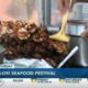 What's This Weekend: Running, dancing, and lots of seafood