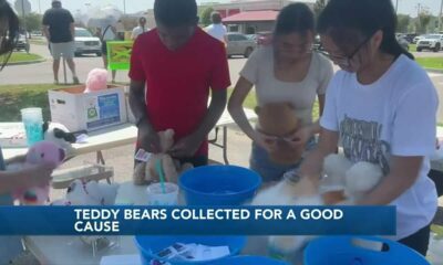North Bay Civitan Club collects bears for a good cause