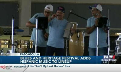 Blues & Heritage Fest draws out music lovers, adds new genres to lineup