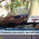 Zoo's 'Nature Swap' program aims to educate