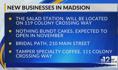 Madison welcomes four new businesses to city